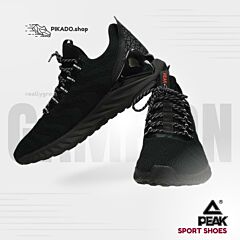 Športni copati PEAK / Taichi / E91617H PIKADO.shop®1